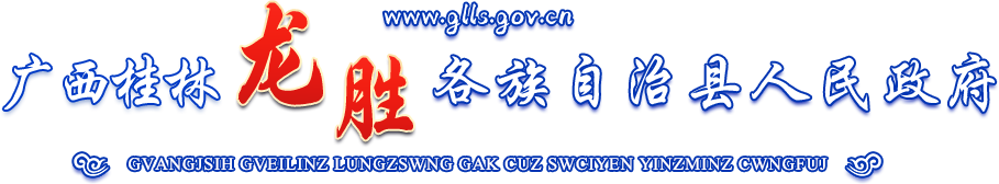 龙胜各族自治县人民政府