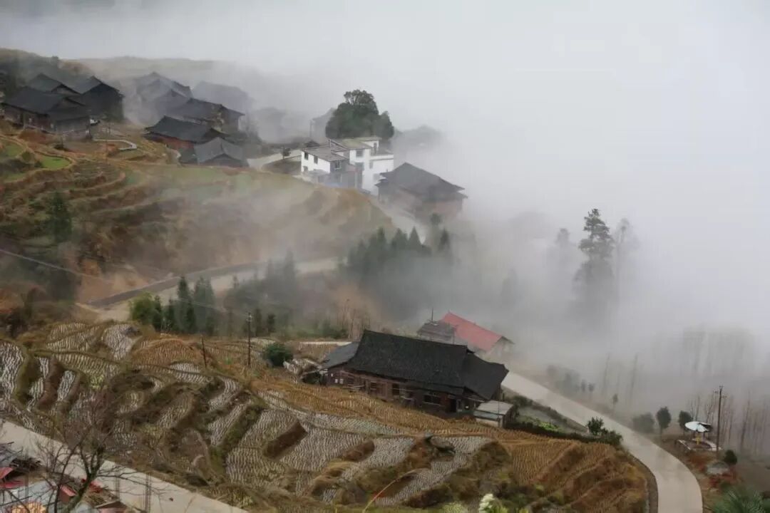 620ec13042c74e1c23c2a9f5d5d48e33