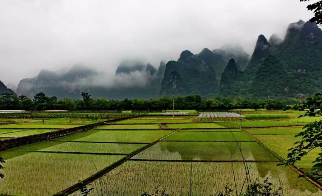 4546a5c2dff5991604063ff75d2bff0b