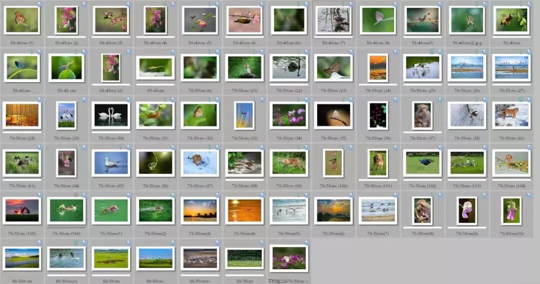 2abd47090b32340693e06d173a095998