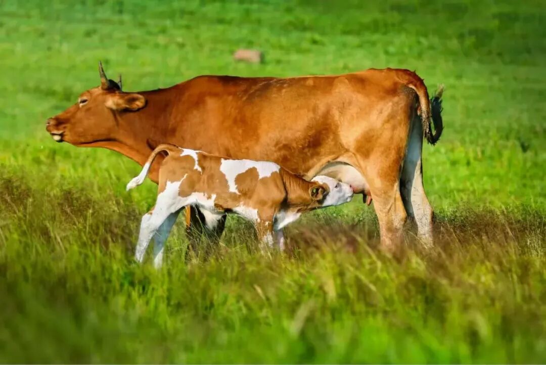 1ca18d7a82d0ff91cd9aba9f8f986214