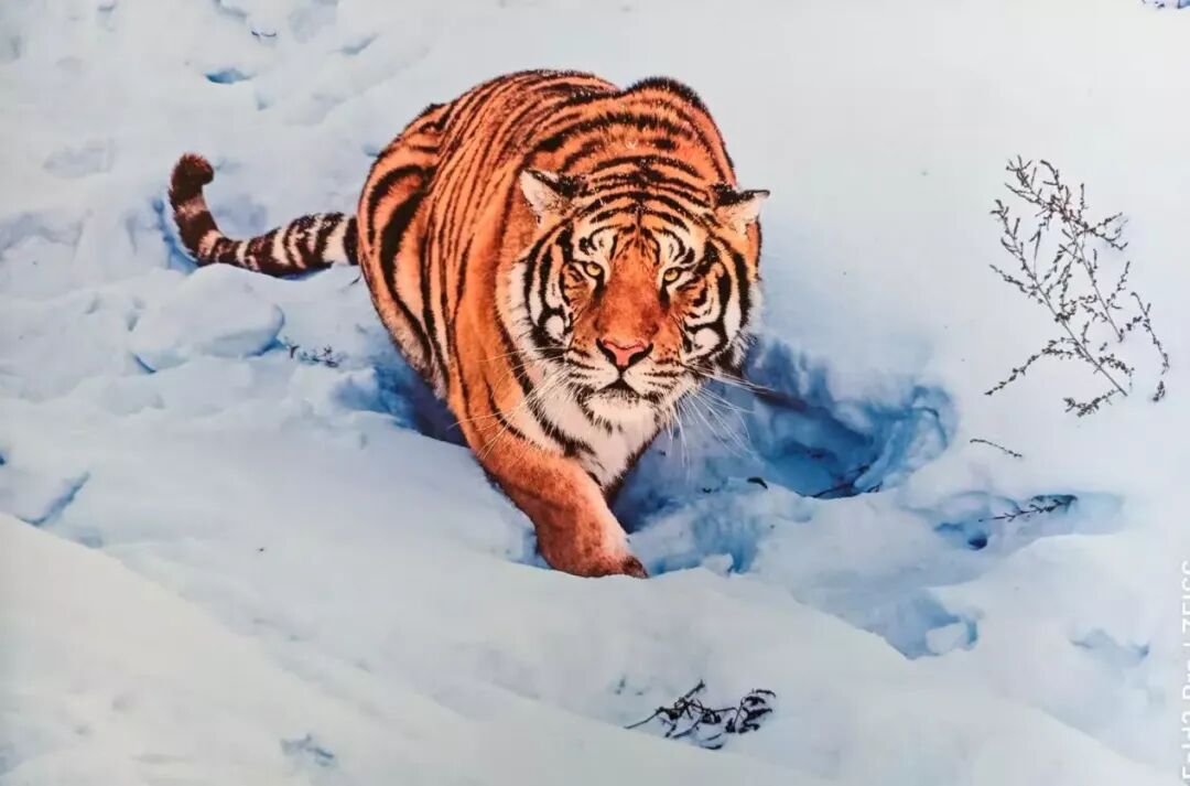 5c3295ccd1bc923803b5b26d6afae527_副本