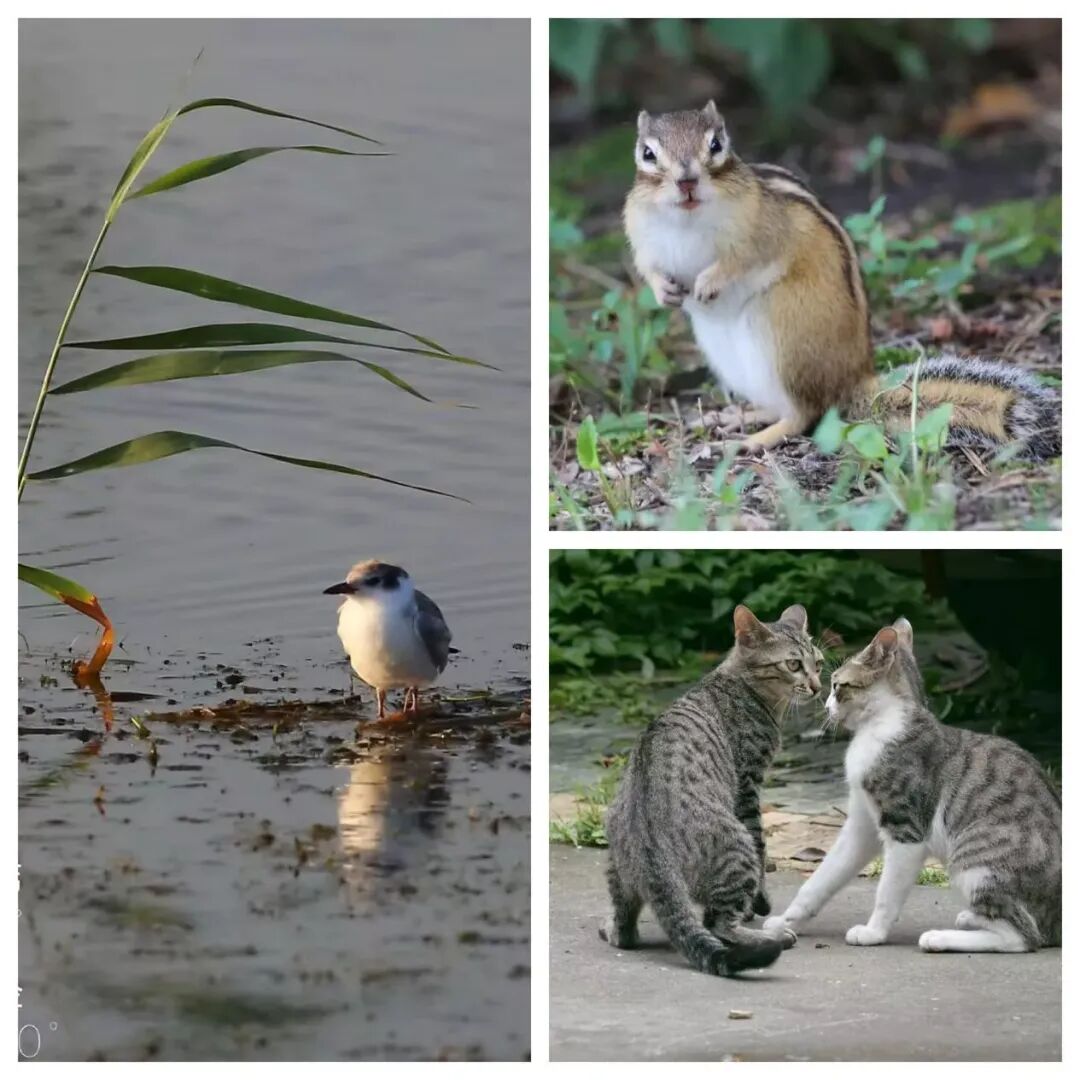 57f1a88eb940a7c050e319df434c2606_副本_副本