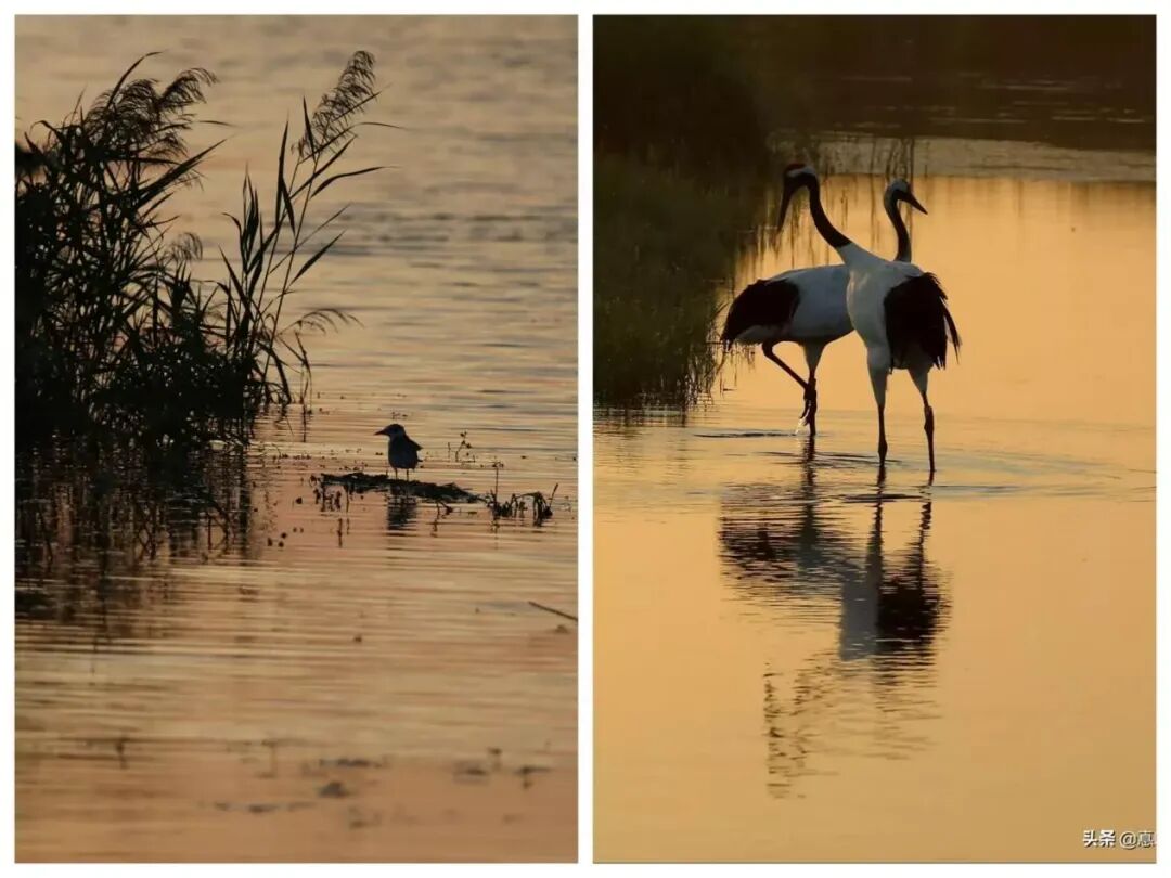 83d69049639cf63fc0815ece5590be6c_副本