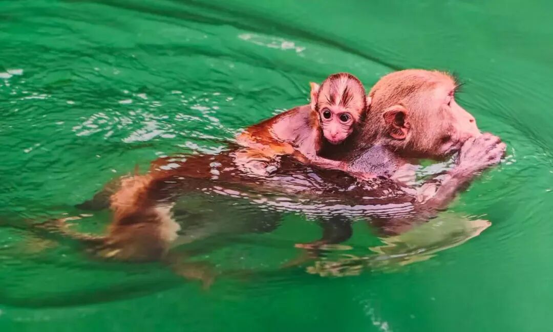 54740717a7ba6abb0d9c98aef22822b2_副本