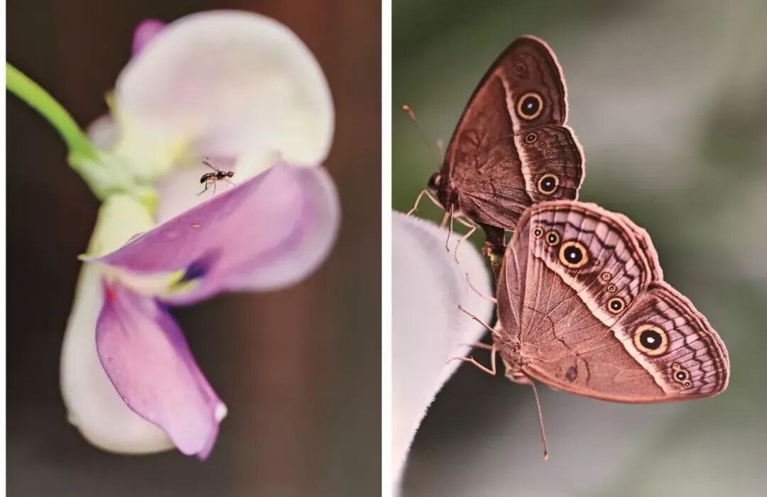 5c3295ccd1bc923803b5b26d6afae527_副本_副本