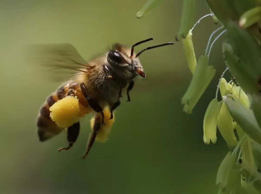 36a9929b04e90cfd174a44f202f23c76